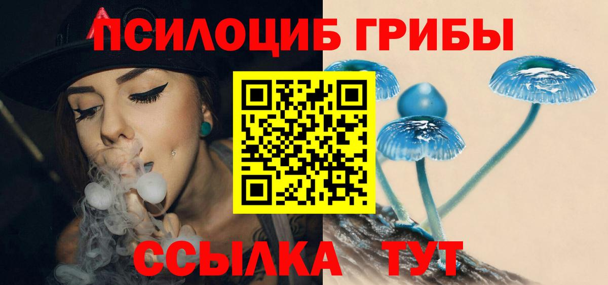 Псилоцибиновые грибы GOLDEN TEACHER  Вход с VPN  Псилоцибиновые грибы прущие грибы  Стрежевой 